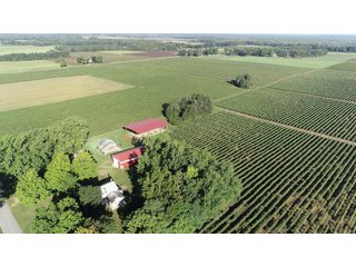 Van Buren County, Michigan Farmland - LAND AUCTION - 300+/- ACRES SPECIALTY CROP - GRAPES AND HOPS - OFFERED IN 8 TRACTS IN VAN BUREN COUNTY, MICHIGAN